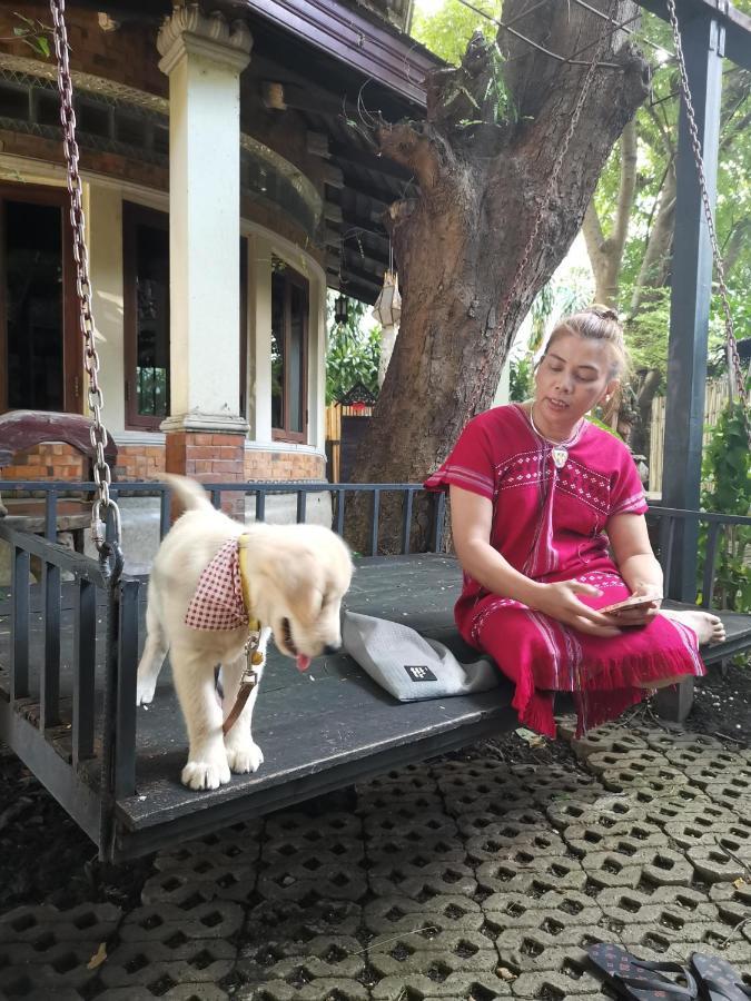 Avara Signature House Hotel Chiang Mai Exterior foto